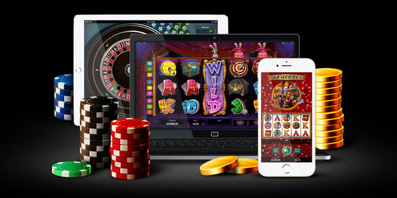 Người chơi có thể tham gia nhiều thể loại casino khác nhau