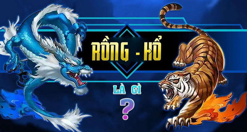 Cần nắm bắt kinh nghiệm khi tham gia game Rồng Hổ