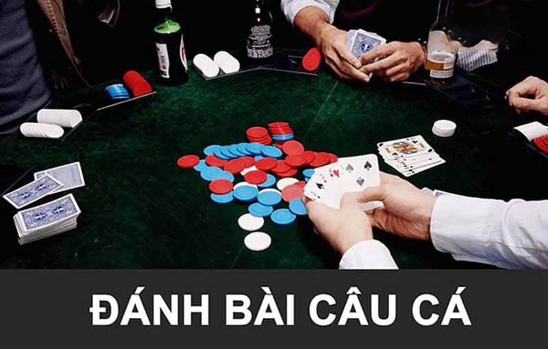 Ưu Đãi Hấp Dẫn Khi Chơi Bài Câu Cá Tại Fun88